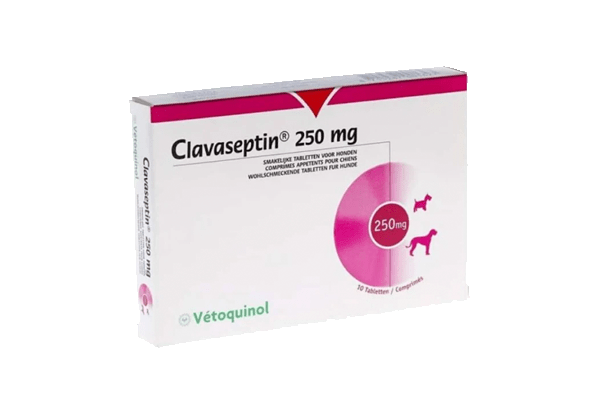 Clavaseptin 250 mg x 10 comp.