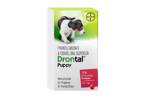 Drontal Puppy