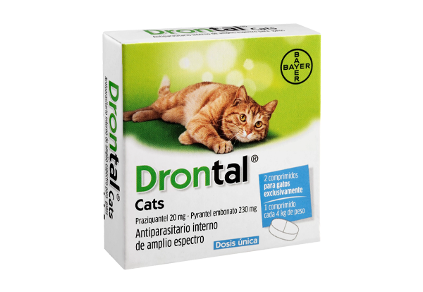 Drontal cat 4 kg x  2 comp.