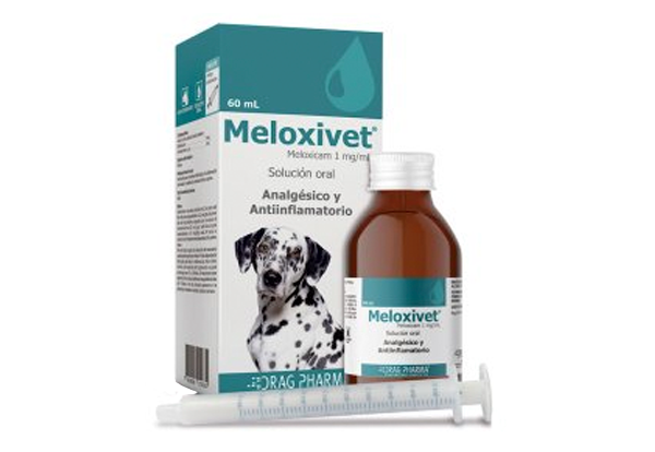 Meloxivet susp. 60 ml.