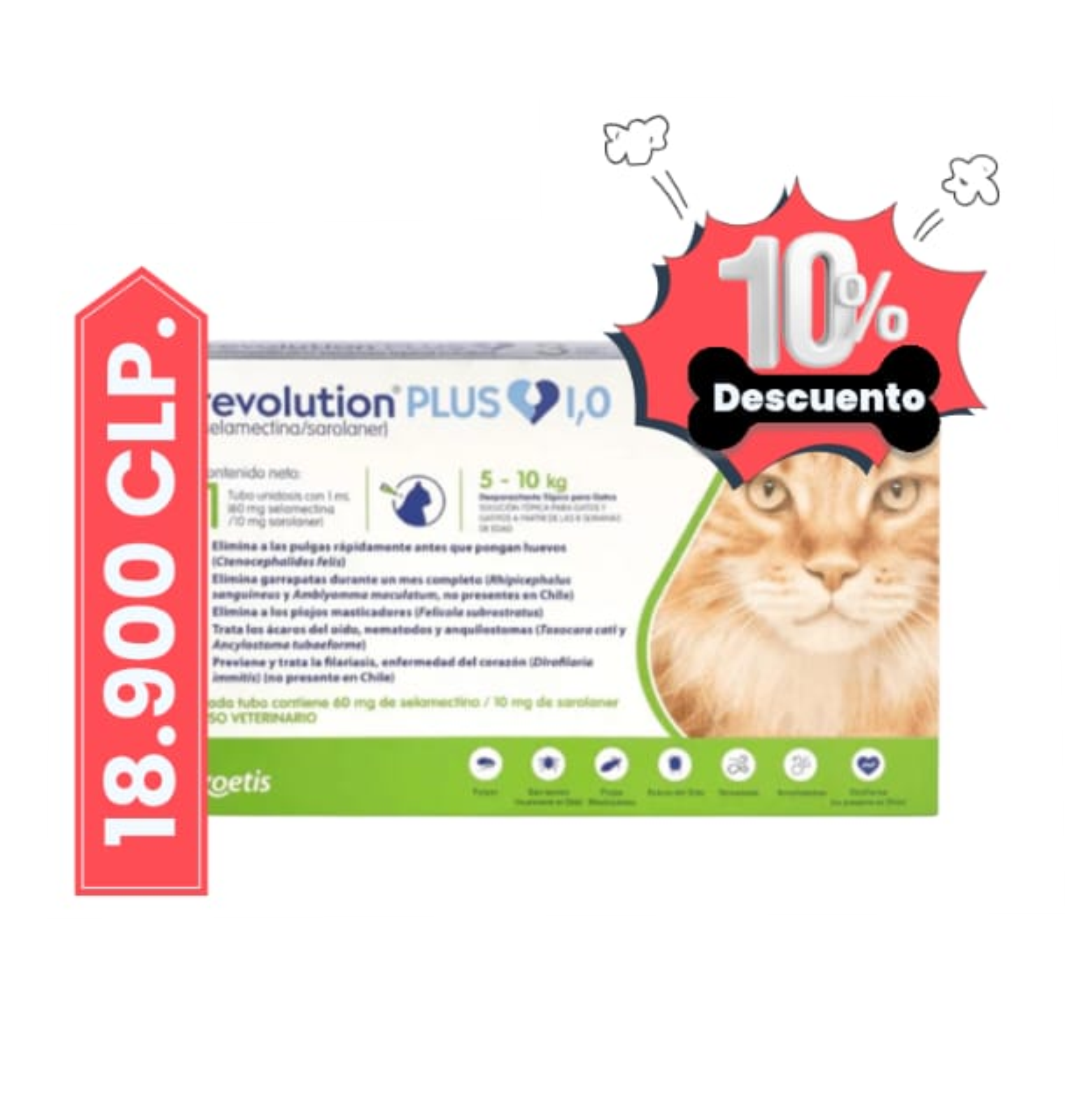 Revolution plus pipeta gato 5 - 10 kg x 1 unid.